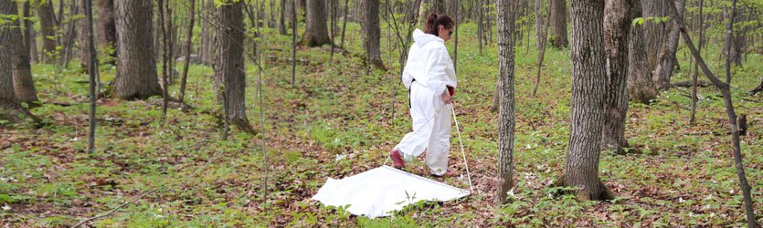Adult wearing white overalls dragging white sheet through wooded area.